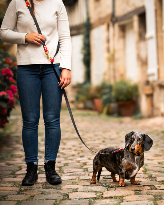 Laisse 3 points 25/19mm image 1