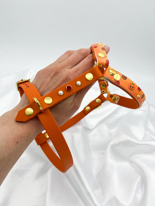 Personnalisation : Harnais Double (petits gabarits)