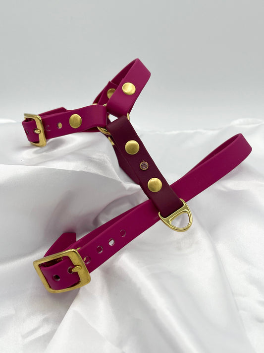 Harnais Mono (petits gabarits)