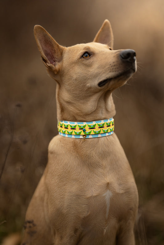 Infinity Paw - Collier Space Ranger