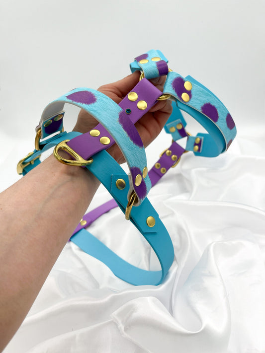 Personnalisation : Harnais Double 25mm image 0