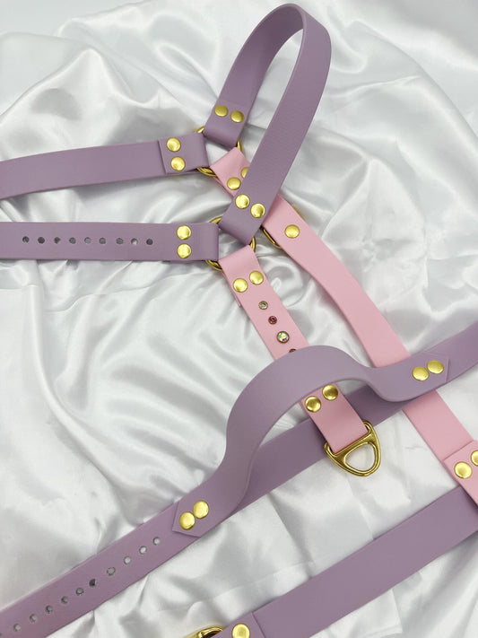 Harnais Mono 25mm image 0