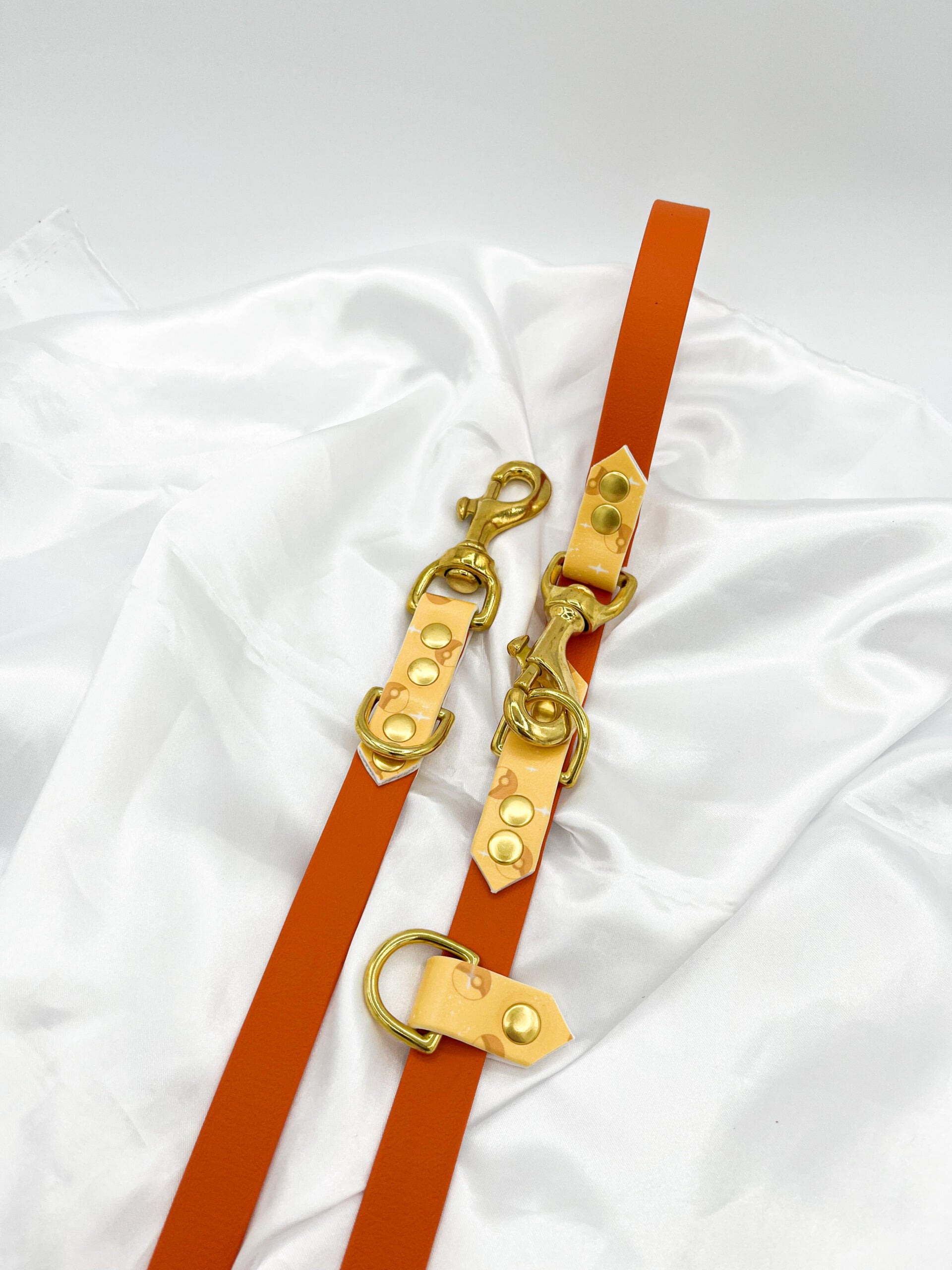 Personnalisation : Laisse 3 points 25/19mm image 0