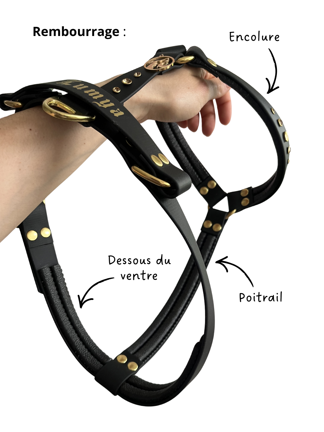 Personnalisation : Harnais Double (petits gabarits)