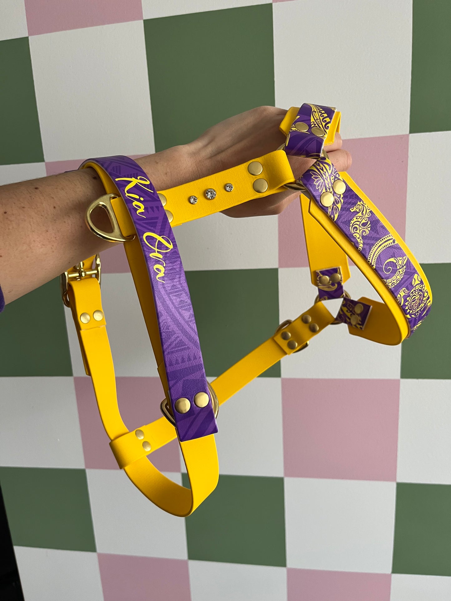 Personnalisation : Harnais Double