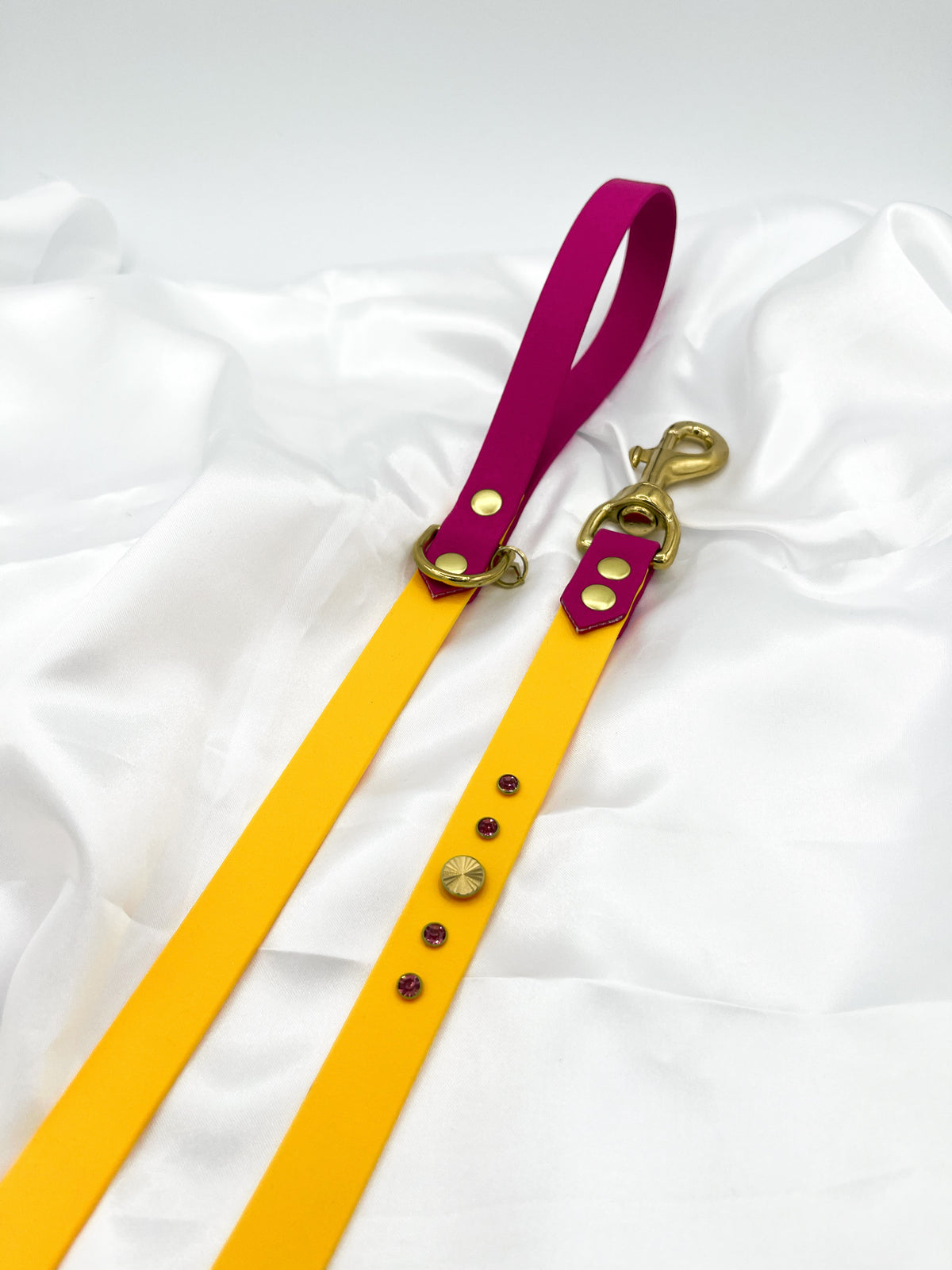 Laisse simple (petits gabarits)