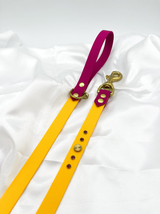 Laisse simple (petits gabarits)