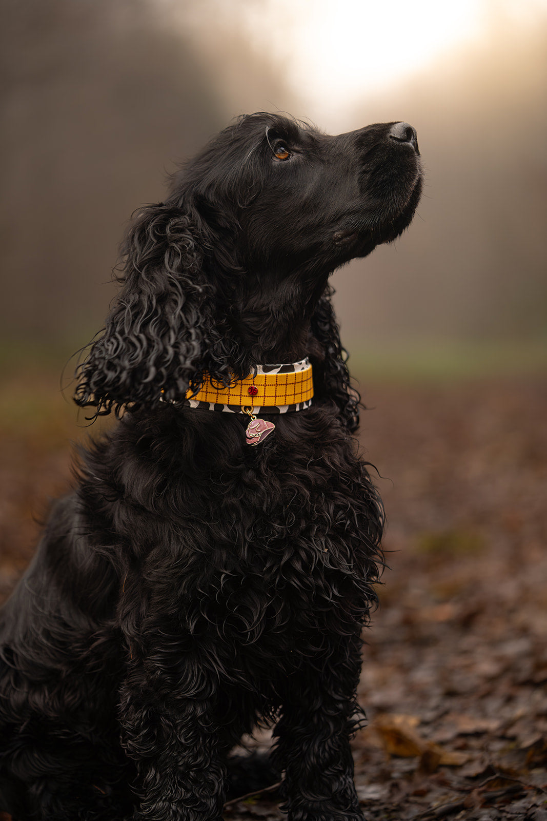 Infinity Paw - Collier Le Cowboy