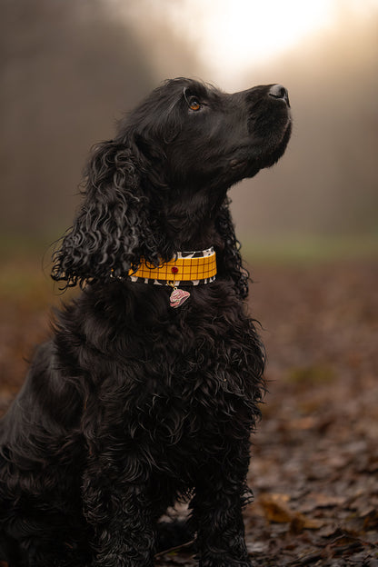 Infinity Paw - Collier Le Cowboy